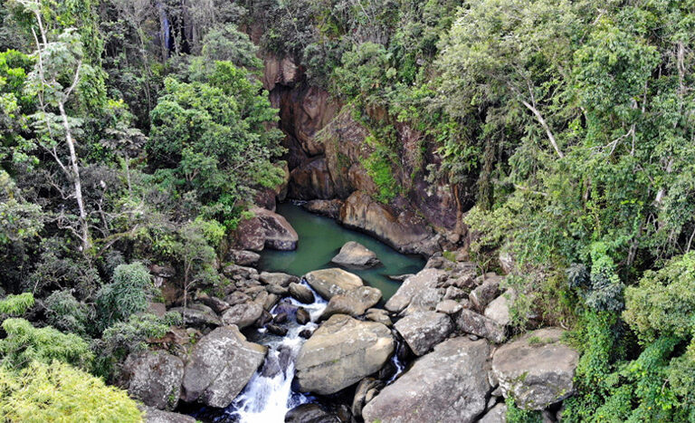 YUNQUE – East Zone